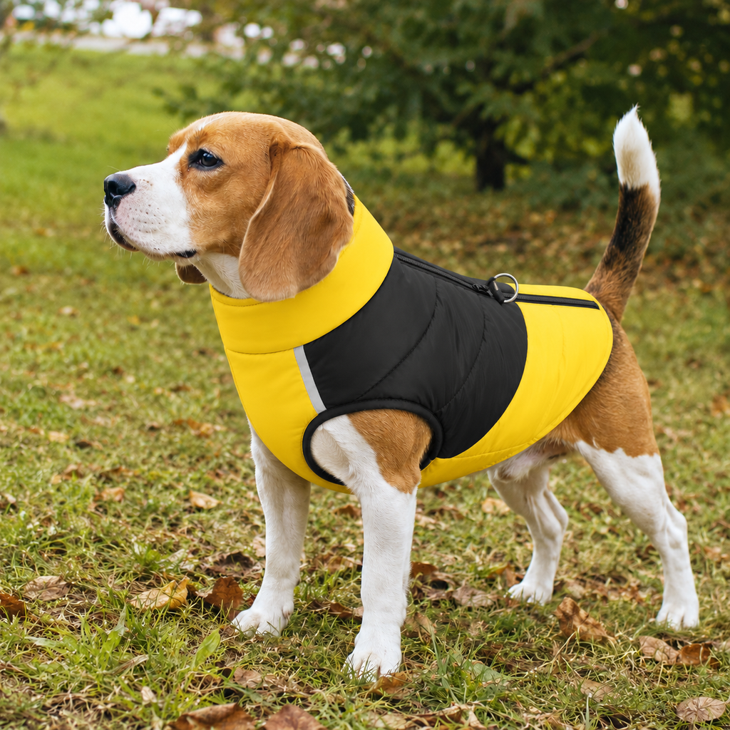Padded Dog Vest Jacket with Front Zipper, D-Ring and Warm Quilted Design